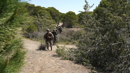 New Jersey and New York Officer Candidates and Cadets from the Albanian Armed Forces Military Academy conduct situational tactical exercise lanes during a field training exercise in Rreth-Greth, Albania on April 21st, 2025.
