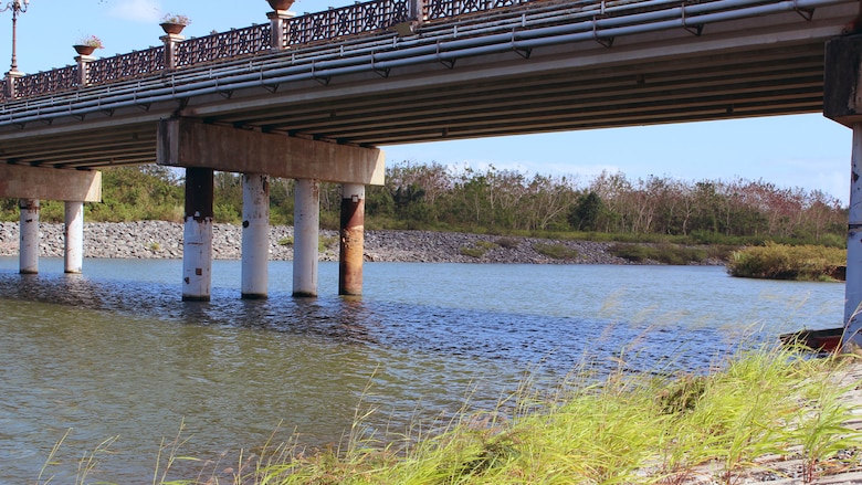 Concrete blocks with grasses growing through them alongside a river.