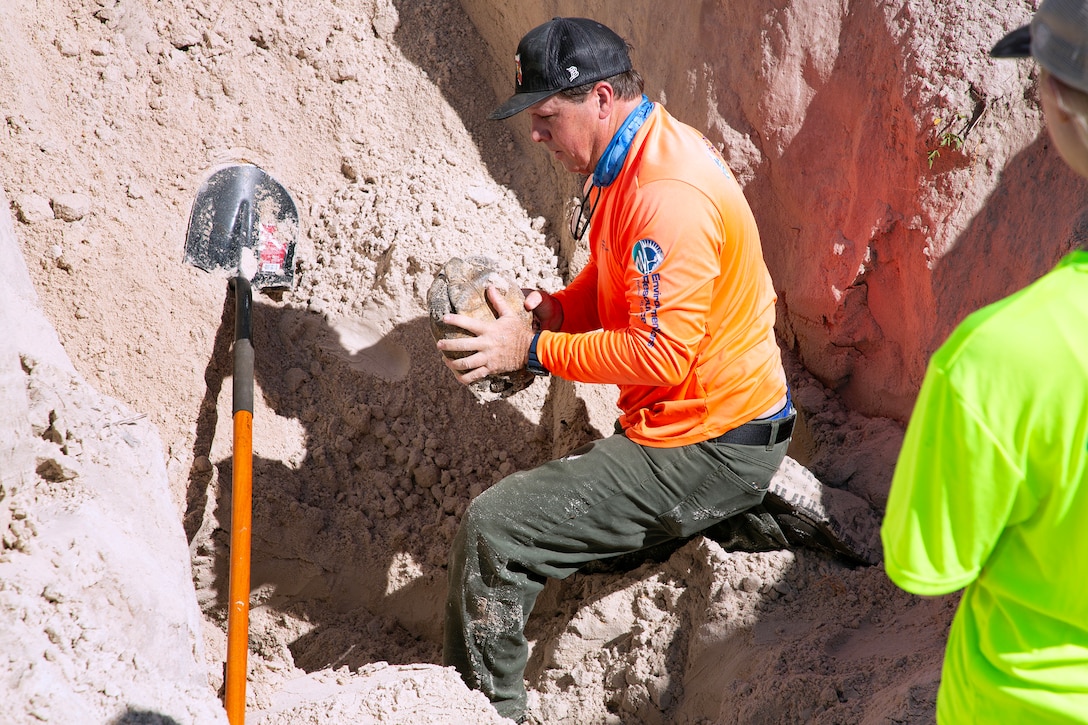 Dave Yow, an Environmental Resource Solutions wildlife biologist, discovers a gopher tortoise during a burrow survey May 2, 2025, along the St. Johns River at Marine Corps Support Facility Blount Island, Florida. (Official U.S. Marine Corps Photo/Dustin Senger)
