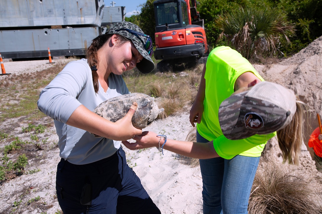 Taylor Comstock, Marine Corps environmental protection specialist, Betsy Stewart, an Environmental Resource Solutions environmental scientist, inspect a gopher tortoise during a burrow survey May 2, 2025, along the St. Johns River at Marine Corps Support Facility Blount Island, Florida. (Official U.S. Marine Corps Photo/Dustin Senger)