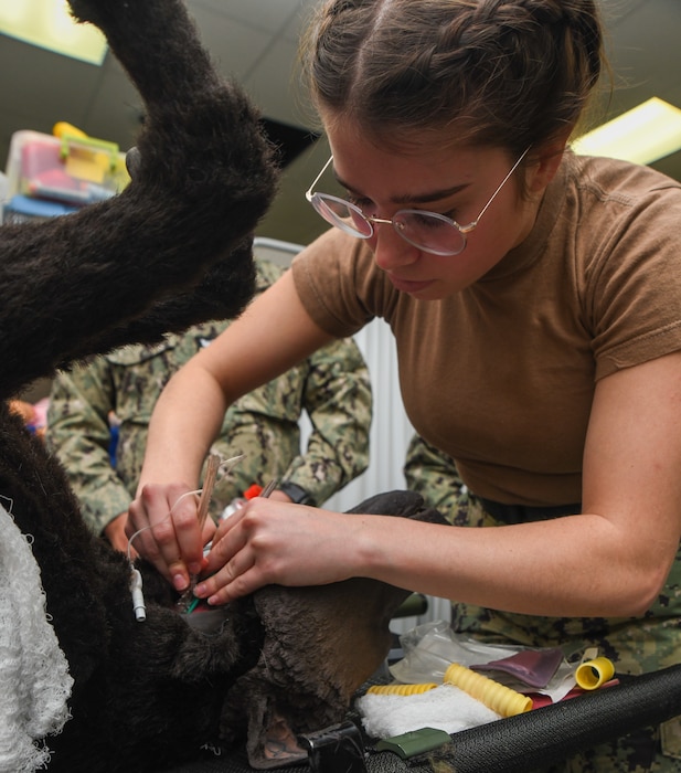 250427-N-FB730-1042 Hospital Corpsman Third Class Noa Ferigo performs a tracheotomy on a canine simulation during the Expeditionary Medical Facility Kilo (EMF-Kilo) Operational Readiness Exercise (ORE) on Fort McCoy, Wisconsin, April 27, 2025. EMF-Kilo is the readiness platform attached to Navy Medicine Readiness and Training Command Camp Lejeune and is comprised of approximately 400 personnel ready to deploy field hospital capabilities during humanitarian or combat mission.