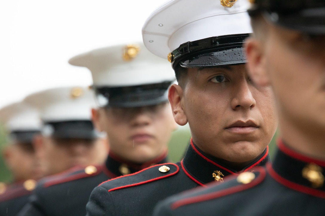 U.S. Marine Corps Pfc. Edward Zhina Tenesaca, an aircraft mechanic, with Marine Aircraft Group-41 stands at parade rest after performing the three volleys at the funeral of retired Lt. Gen. Richard E. Carey at Dallas-Fort Worth National Cemetery in Dallas, Texas, May 5, 2025. 



Carey served 38 years in the Marine Corps, serving in both the Korean and Vietnam War. Near the end of his service, Carey led the efforts of Operation Frequent Wind, the final phase in evacuation of American Forces from Saigon City, Vietnam, marking the end of U.S. involvement in the Vietnam War. After his service, Carey continued to help serve his community in different ways, such as participating in the creation of a national monument honoring those who served in the Battle of the Chosin Reservoir and assisting in the construction of the Dallas-Fort Worth National Cemetery. (U.S. Marine Corps photo by Cpl. Isaiah W. Smith)