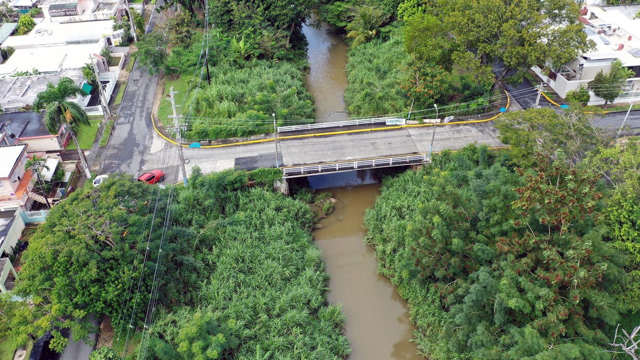Aerial view of a river flowing through a neighborhood.