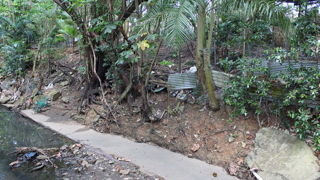 An eroded riverbank with concrete and trees falling into the river channel.