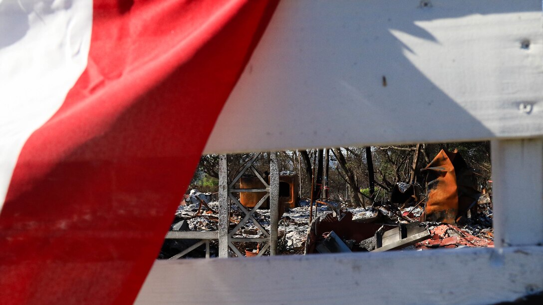As debris removal teams move across the Eaton fire, small areas that survived remain as an inspiration amongst the chaos.