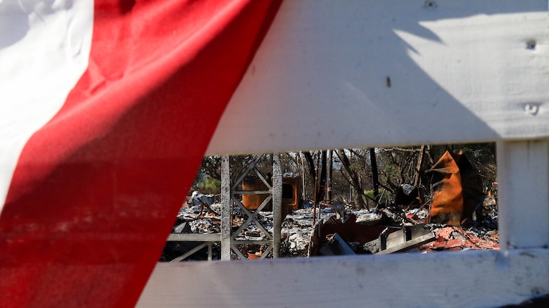 As debris removal teams move across the Eaton fire, small areas that survived remain as an inspiration amongst the chaos.