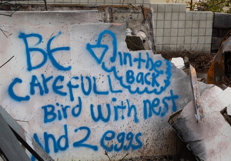 One of the hardest to spot pieces in disaster recovery are nesting areas. From property owners, to safety officers, to debris workers, everyone needs to identify nesting areas and notify the proper authorities.