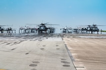 U.S. Air Force and Navy assets line the runway for an elephant walk.