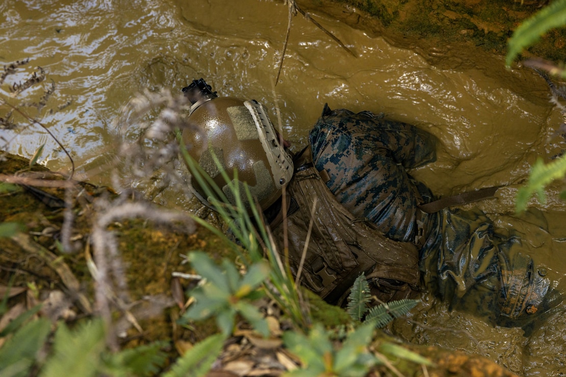Jungle Endurance Course