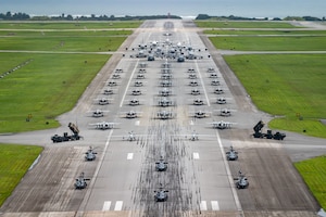 U.S. Air Force, Navy and Army assets line the runway for an elephant walk.