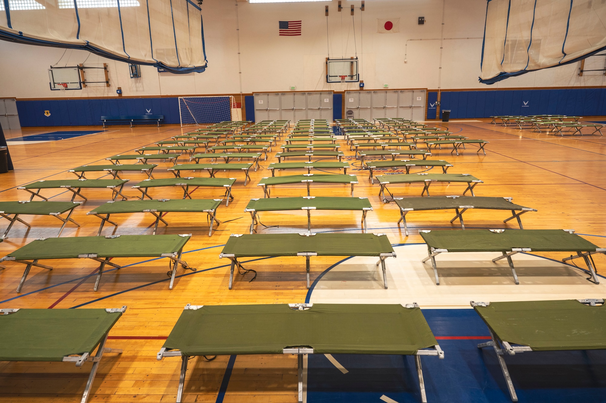 Rows of green cots line the floor of a indoor basketball court