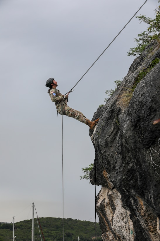 962nd Mortuary Affairs sharpens recovery skills at Exercise Croix du Sud 25