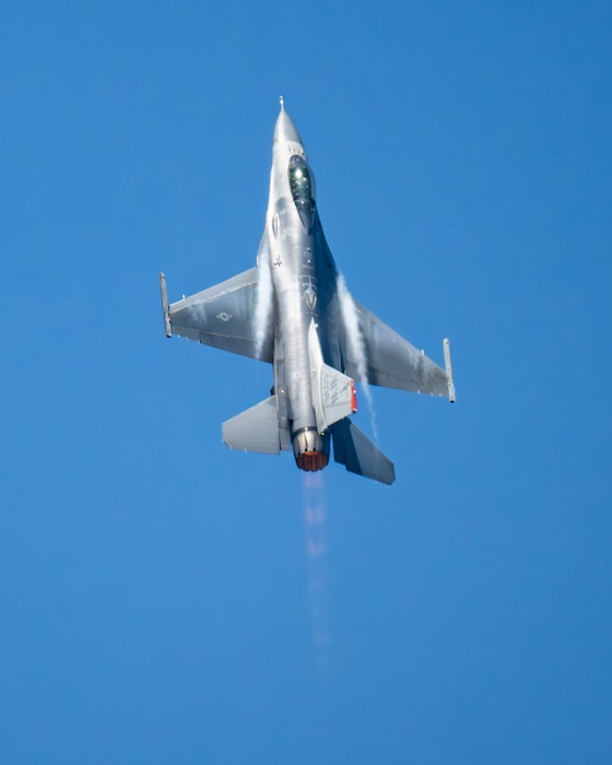 fighter jet flies in the sky