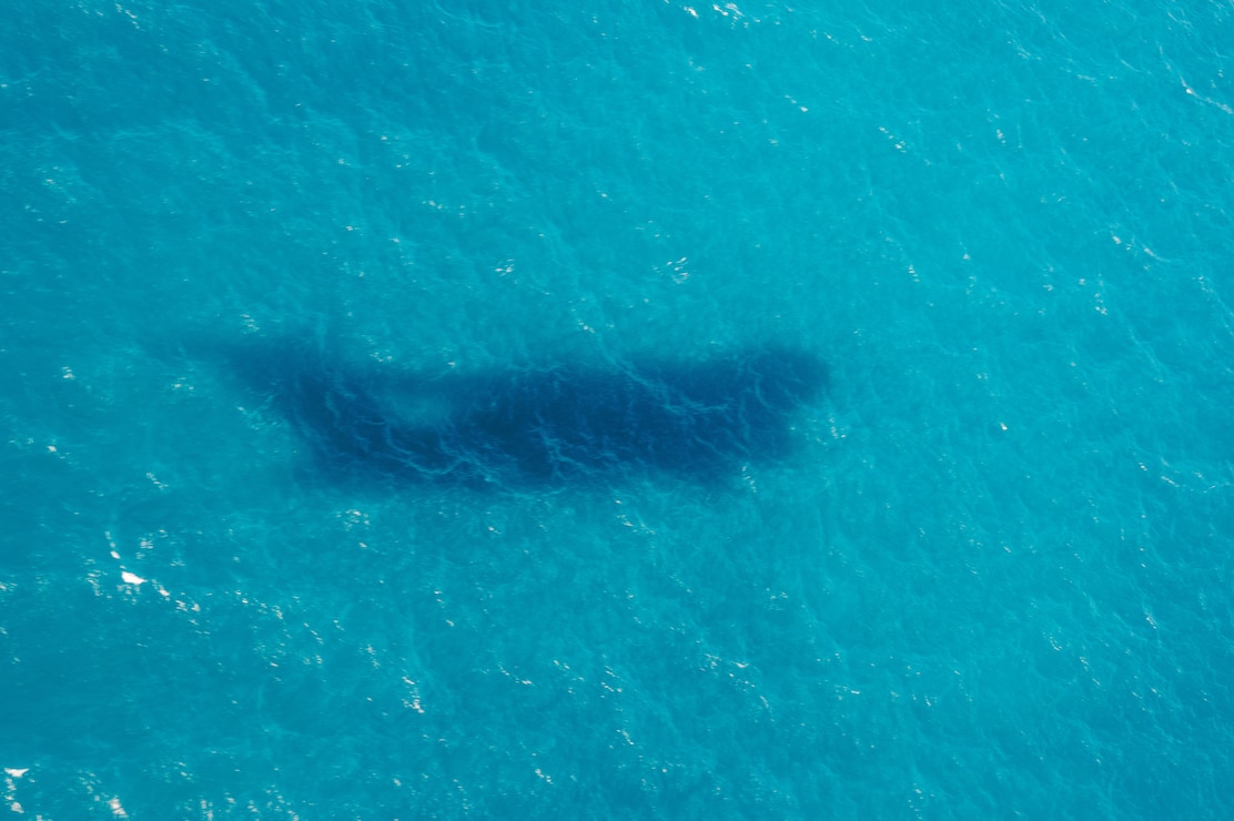 A U.S. Air Force C-17 Globemaster assigned to the 535th Airlift Squadron at Joint Base Pearl Harbor-Hickam casts a shadow over the Great Barrier Reef in Australia.