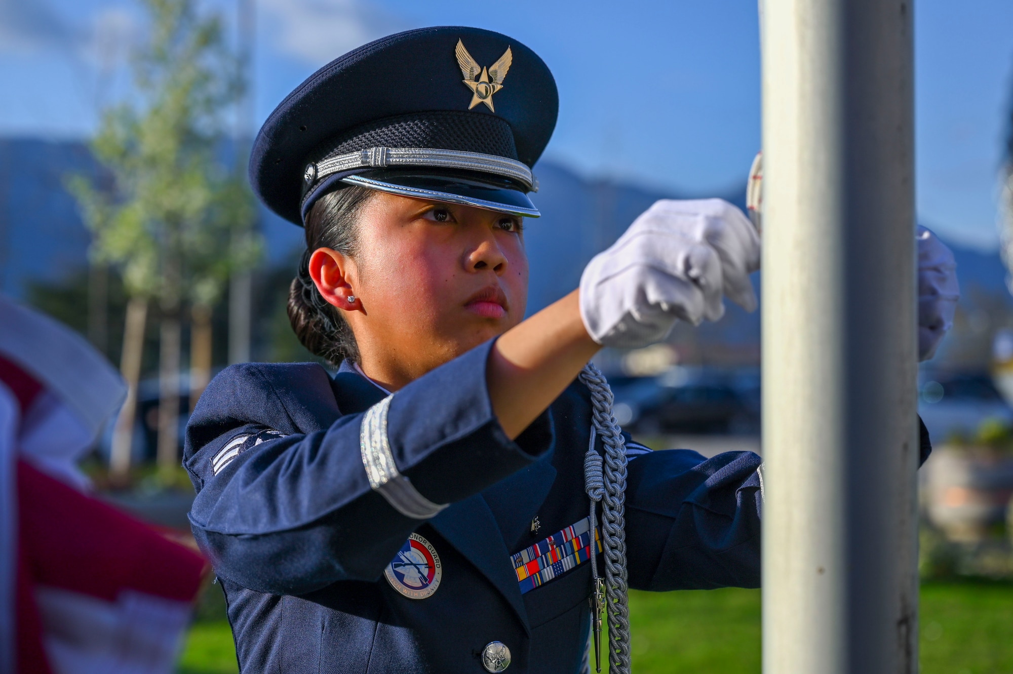 Honor Guardsman lowering flag