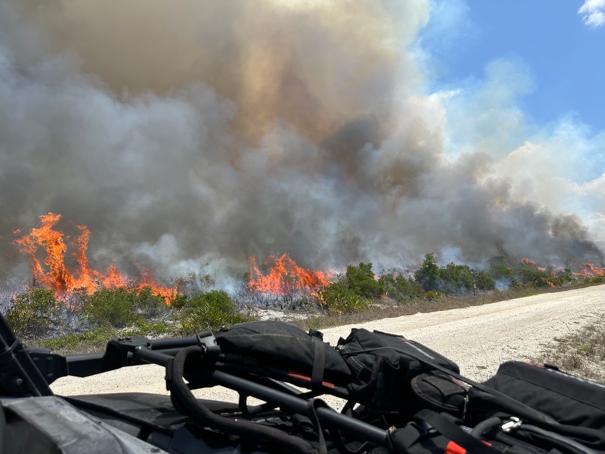 Smoke from a wildfire rising into the air