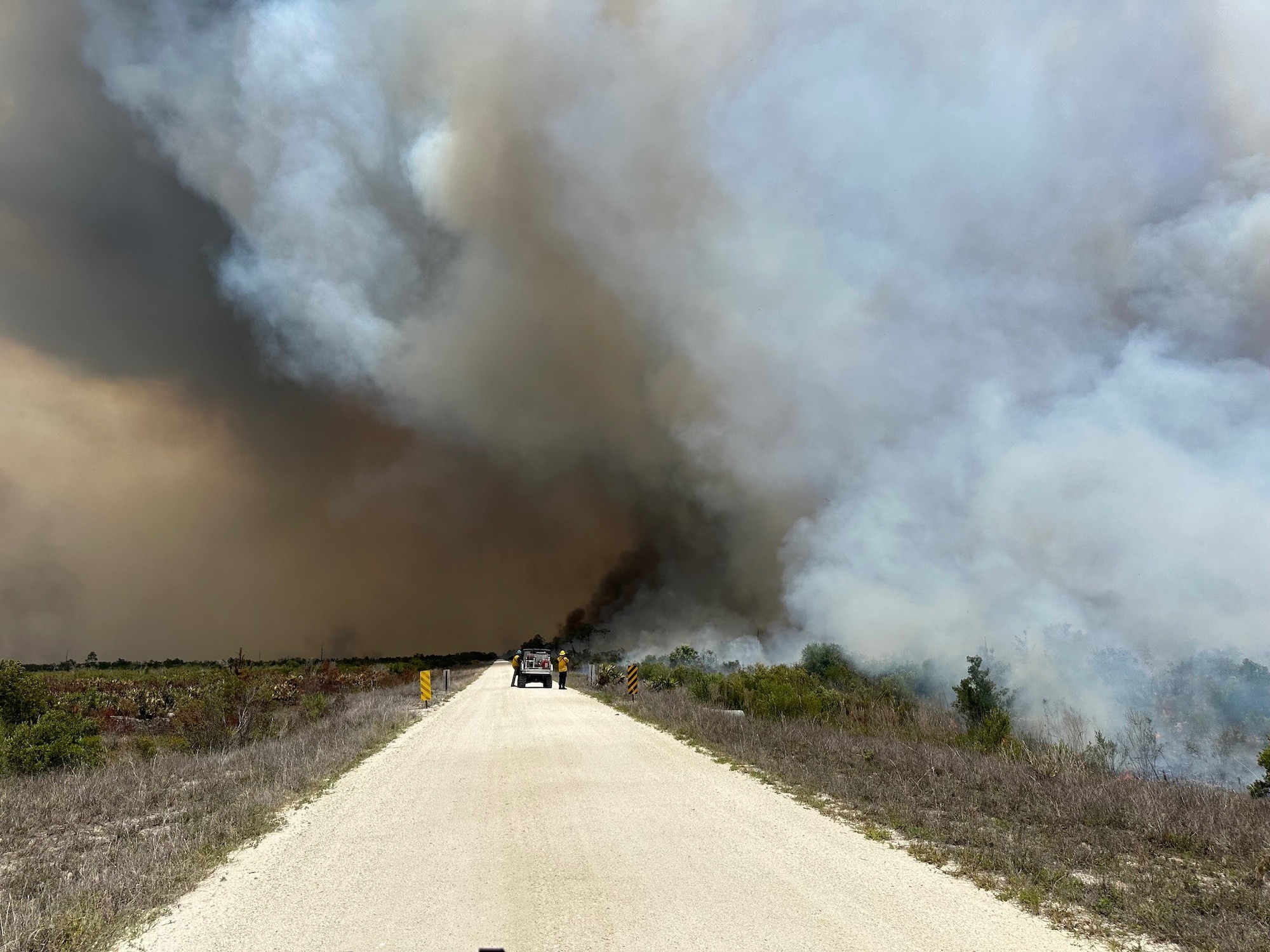 Smoke from a wildfire rising into the air