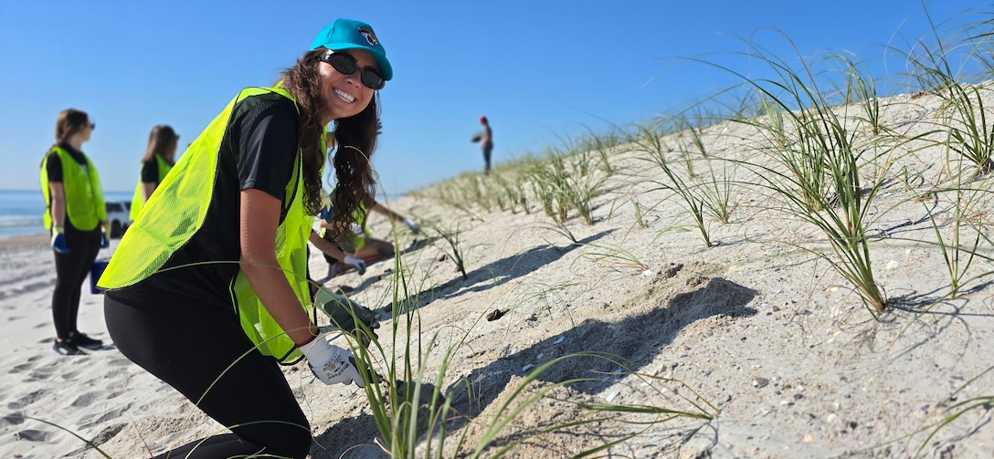 A volunteer from the Jacksonville Jaguars front office plants sea oats near Hanna Park to fortify the dune constructed as part of the USACE Jacksonville District's Duval County Shore Protection Project
