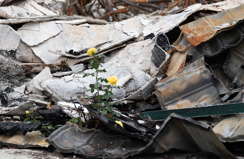 Members of USACE conduct initial debris site surveys for the first batch of non-residential properties approved for USACE debris removal.

USACE is working in partnership with local, state and the Federal Emergency Management Agency in response to the Southern California Wildfires.