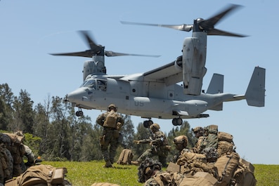 CAMP HANSEN, OKINAWA, Japan (May 3, 2025) — U.S. Marines with Animal Company, Battalion Landing Team 1st Battalion, 7th Marine Regiment, 31st Marine Expeditionary Unit, prepare to embark an MV-22B Osprey aircraft assigned to Marine Medium Tilt Rotor...
