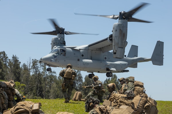 U.S. Marines with Animal Company, Battalion Landing Team 1st Battalion, 7th Marine Regiment, 31st Marine Expeditionary Unit, prepare to embark an MV-22B Osprey aircraft assigned to Marine Medium Tilt Rotor Squadron 265 (Rein.) during a quick response force rehearsal as a part of MEU Exercise, at Camp Hansen, Okinawa, Japan, May 3, 2025.