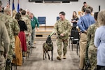 Callie, the only certified search-and-rescue dog in the Department of Defense, is ready for some well-earned play time at the conclusion of her retirement ceremony at the Kentucky Air National Guard Base in Louisville, Ky., Jan. 24, 2025. Over the course of more than six years with the 123rd Special Tactics Squadron, Callie served on numerous exercises and six real-world deployments, searching for survivors in the aftermath of floods, tornadoes, an avalanche, a collapsed coal mine tipple and multiple demolished buildings. (U.S. Air National Guard photo by Dale Greer)