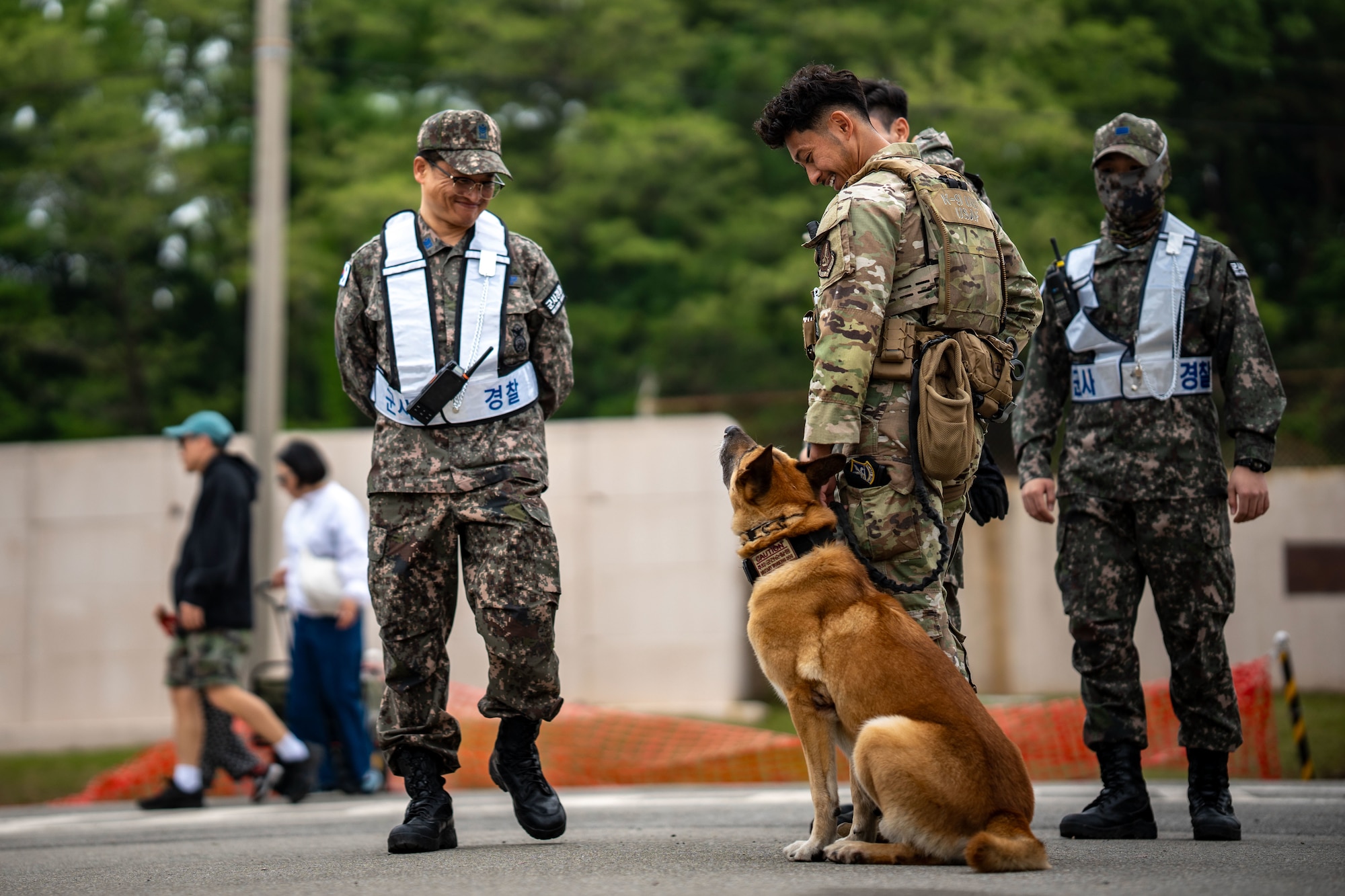 A U.S. Air Force military working dog and their handler assigned to the 51st Security Forces Squadron stand guard at the entrance of Osan Air Power Days 2025 at Osan Air Base, Republic of Korea, May 11, 2025. The team ensured safety and security for thousands of attendees during the final day of the two-day air show hosted by the 51st Fighter Wing. (U.S. Air Force photo by Senior Airman Tallon Bratton)