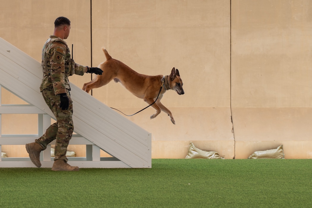 A security forces member and military working dog run through a training course
