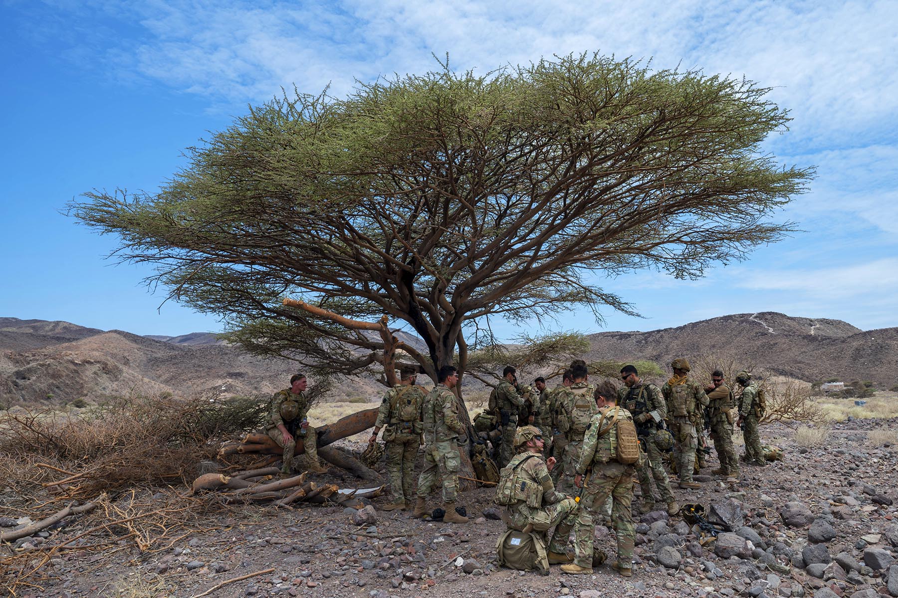 Military personnel conduct an after-action review following the completion of hoist operations during Exercise Bull Shark 25-2 at Arta Beach, Djibouti, May 6, 2025.