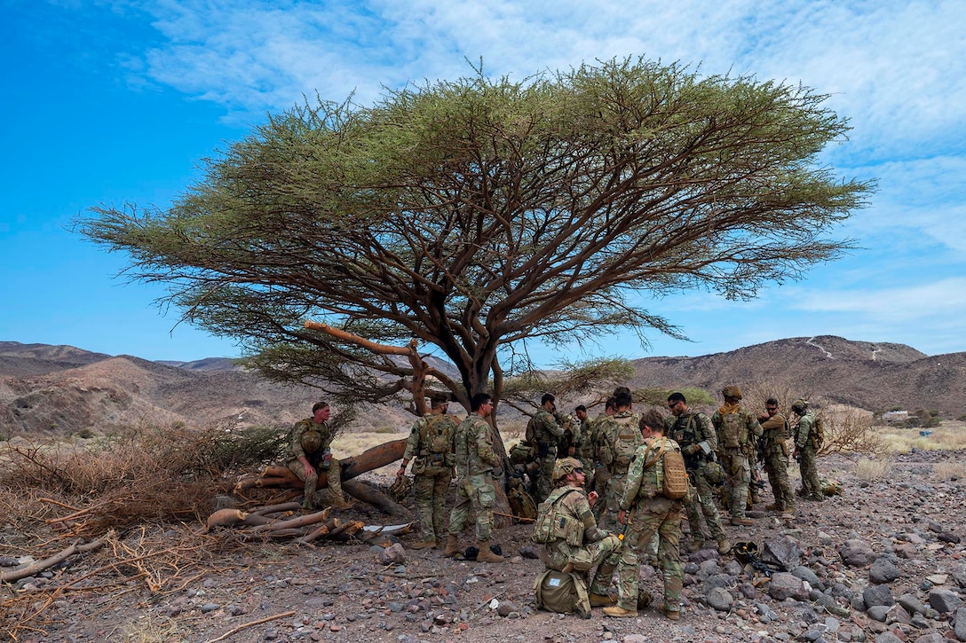 Military personnel gather around a tree in a desert.