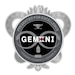 U.S. Army Medical Logistics Command unveiled its special designation of “Gemini” -- and the design of an associated coin (pictured) -- during a ceremony May 12. The name pays homage to AMLC’s “duality” and balance of roles, rooted in both medicine and sustainment.