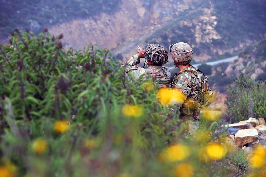 Two soldiers look out to the distance while next to a shrub and in front of mountains.
