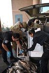 U.S. Soldiers with the Arizona Army National Guard and U.S. Customs and Border Protection agents inspect a cooler of fish for illegal drugs or other contraband items at the Dennis DeConcini Port of Entry in Nogales, Arizona, April 30, 2025. The Arizona National Guard and CBP are working together under Task Force Stopping Arizona's Fentanyl Epidemic to interdict drugs at Arizona’s ports of entry.