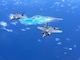 U.S. Marine Corps F-35B Lightning II aircraft with Marine Fighter Attack Squadron 211, Marine Aircraft Group 12, 1st Marine Aircraft Wing fly over Wake Island enroute to Marine Corps Air Station Iwakuni, Japan, May 10, 2025.