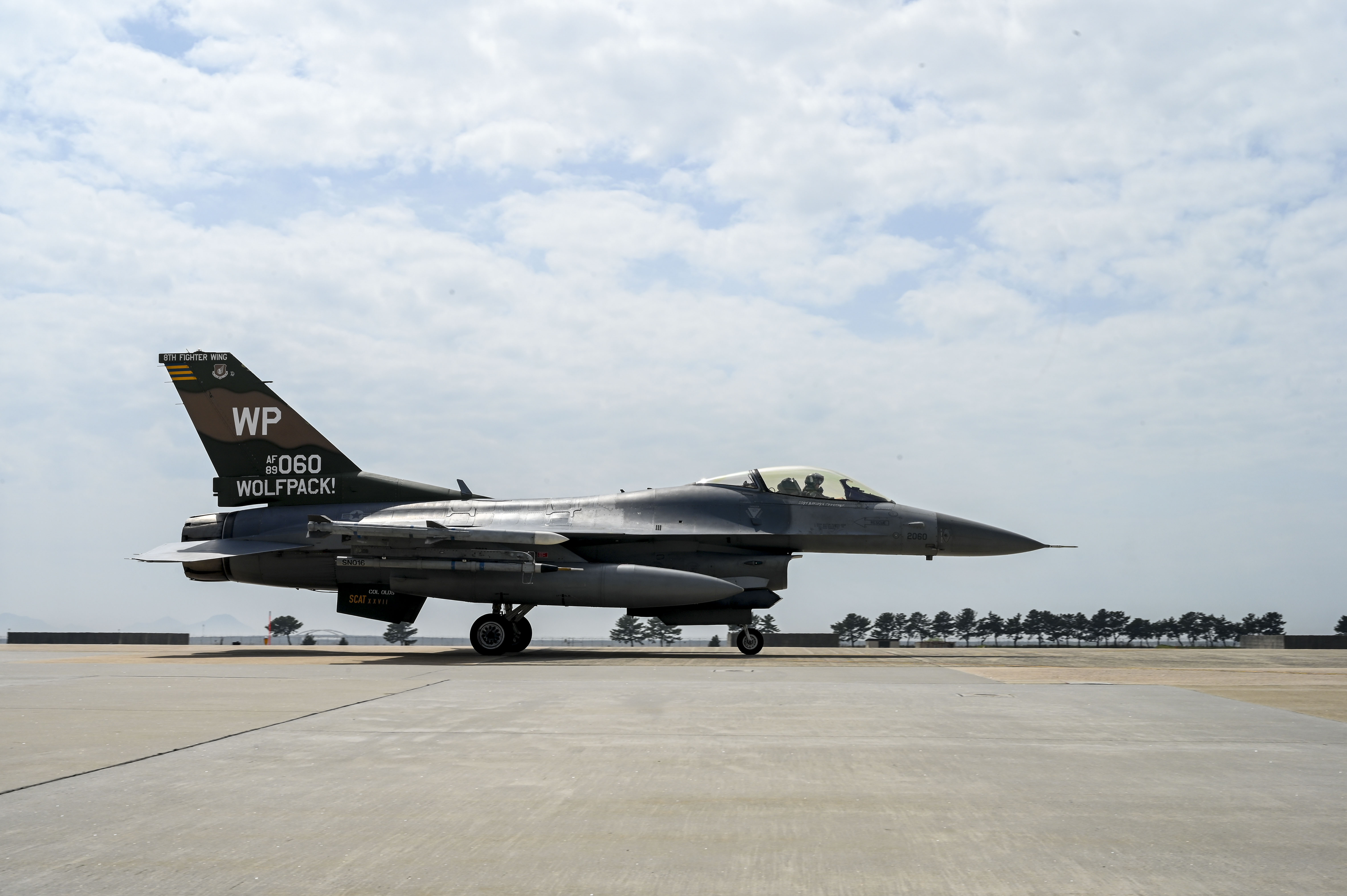 通販でクリスマス Wolfpack interoperability execution, mission strengthens その他