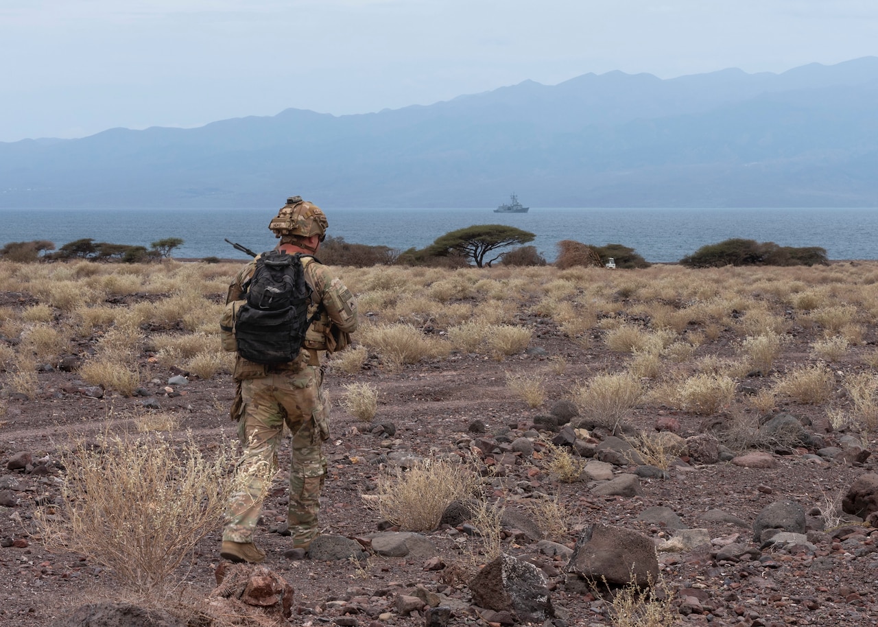 A soldier in tactical gear walks through a field.