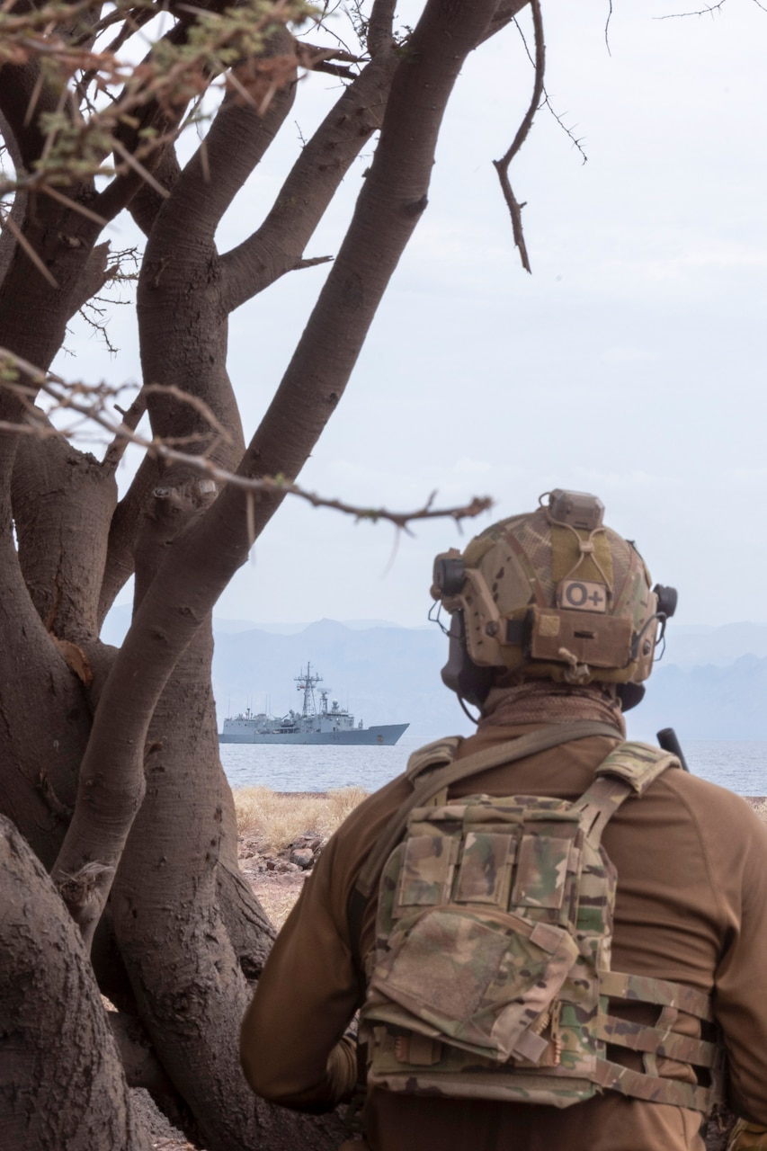 A Spanish service member stands next to a tree while looking at a ship as it transits a body of water.