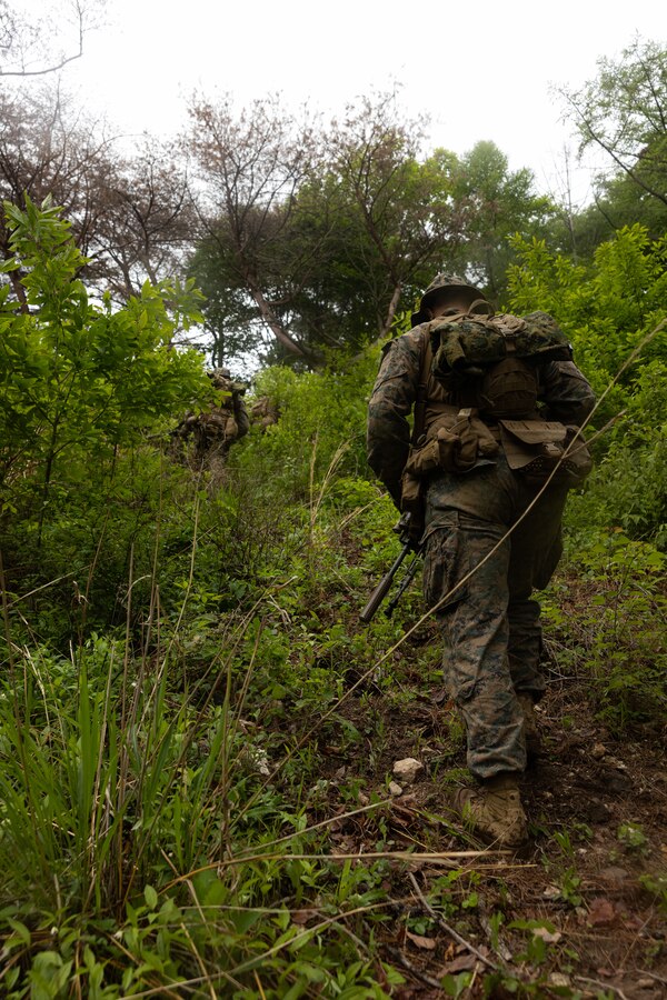 U.S. Marines with 2nd Battalion, 23rd Marines, forward deployed with 4th Marine Regiment, 3d Marine Division as part of the Unit Deployment Program, patrol during Korea Viper 25.4 at Pohang, South Korea, May 6, 2025. Korea Viper is a recurring exercise series that demonstrates the Republic of Korea and U.S. Marine Corps' ability to respond decisively in the region as a singular, unified force while strengthening relationships and trust between the two allies. (U.S. Marine Corps photo by Lance Cpl. Tucker Mocan)