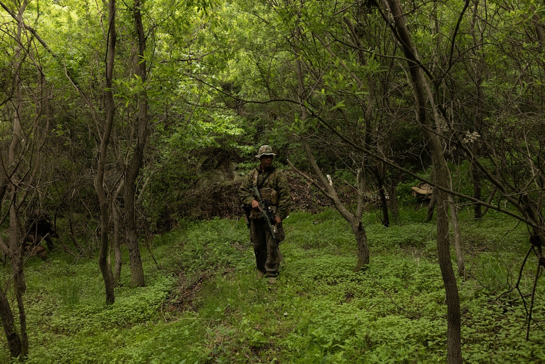 Activated Reserve Marines Conducts Patrol Exercise during Korea Viper 25.4