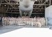 The participants of the Tactical Combat Casualty Care skills day event, pose for a group photo at Joint Base San Antonio-Lackland, Texas, May 9, 2025.