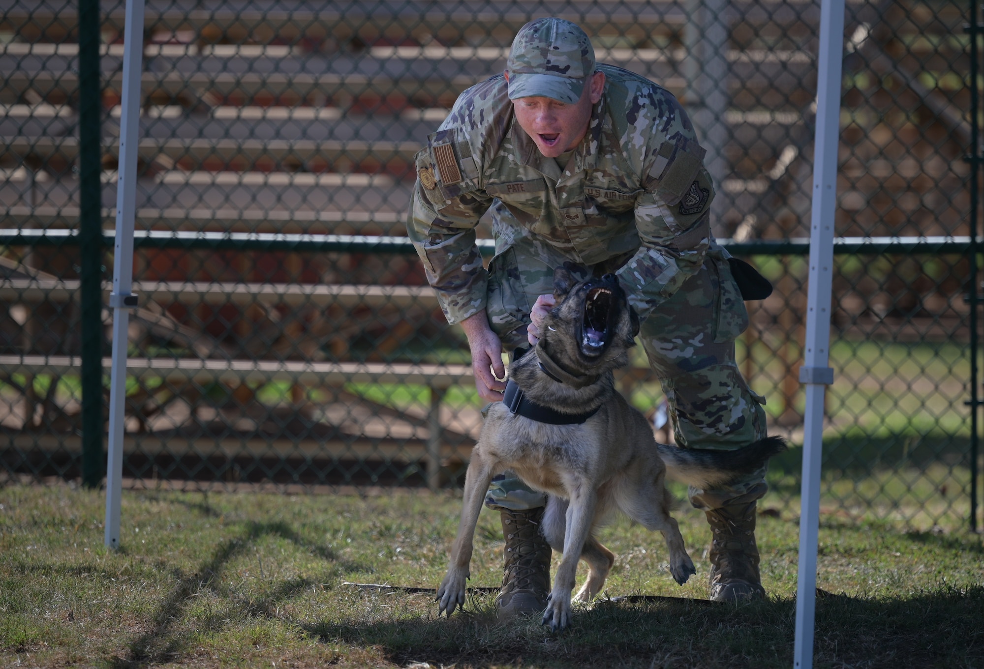 An Airman holds a K-9 in place.