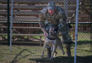 An Airman holds a K-9 in place.