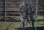 An Airman holds a K-9 in place.