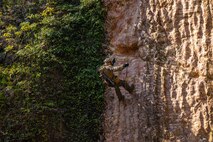 A U.S. Marine rappels during Jungle Leaders Course at the Jungle Warfare Training Center, Okinawa, Japan, May 02, 2025.
