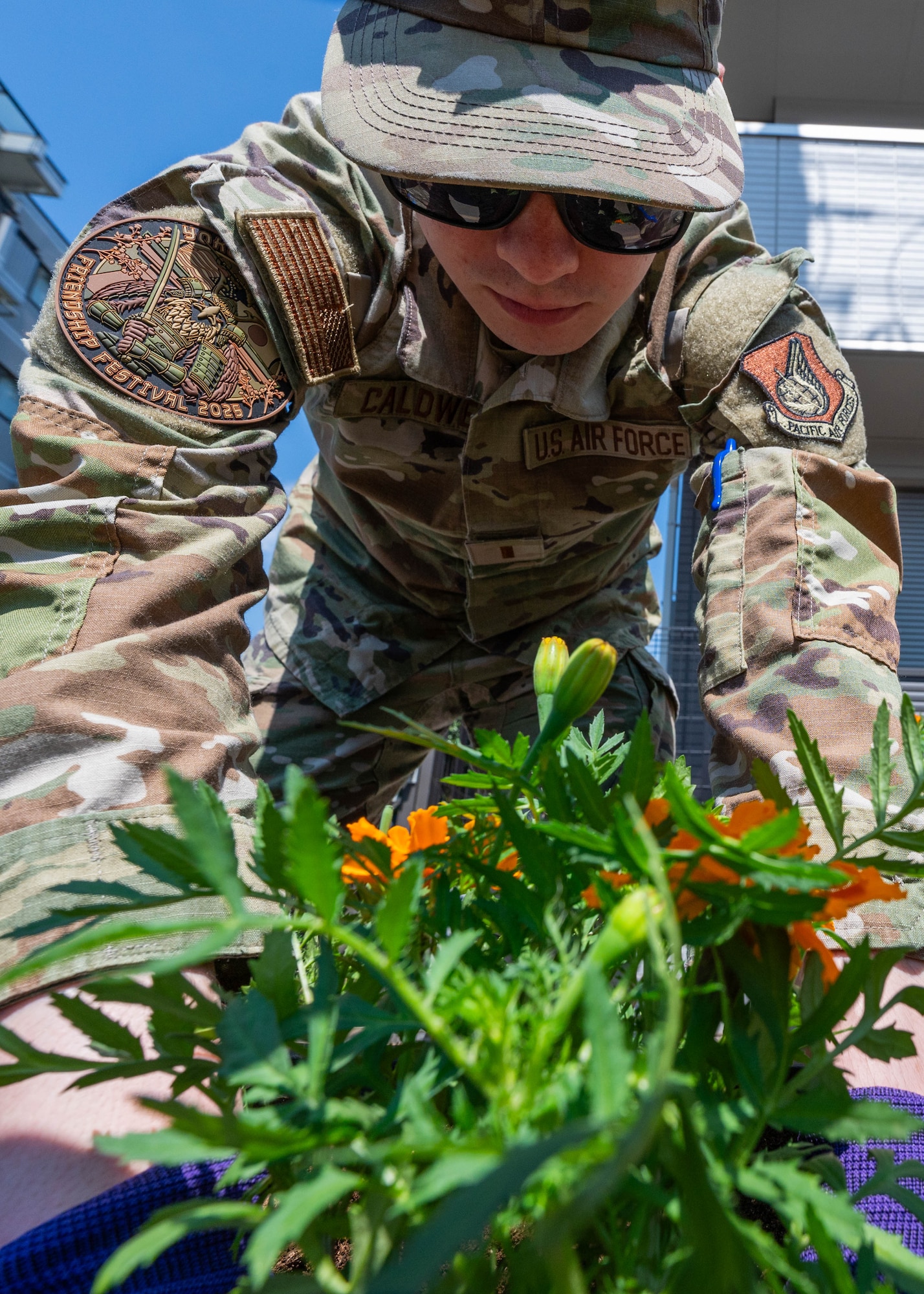 Airman plants flowers.