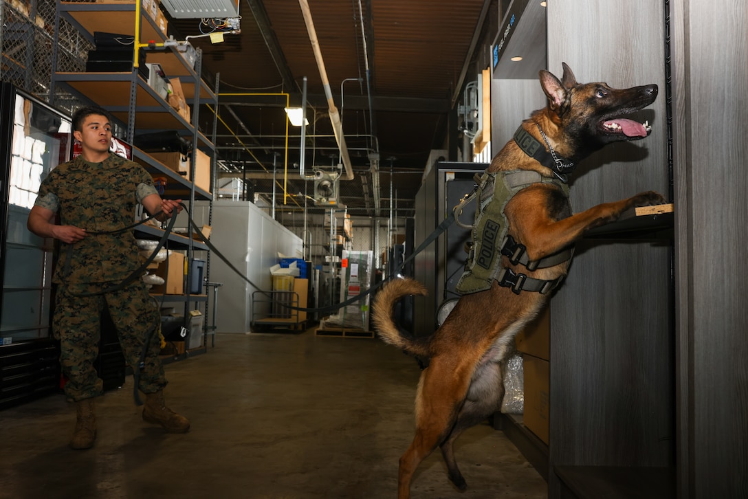 USMC