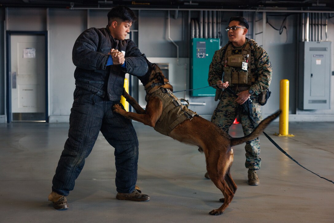 USMC