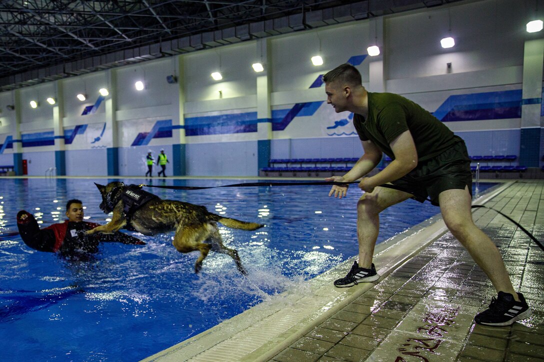 USMC