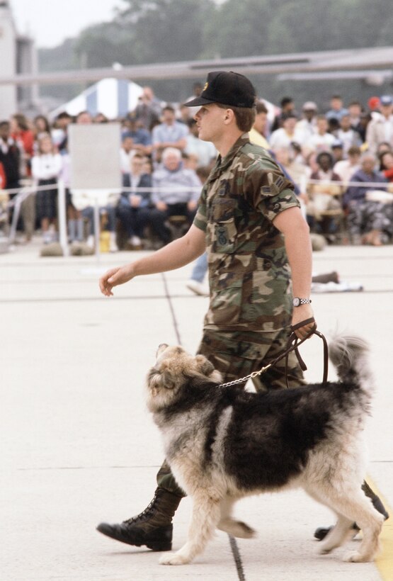 A military working dog and its handler from the 1776th Security Police Squadron, patrol Andrews Air Force Base open house on May 27, 1988.