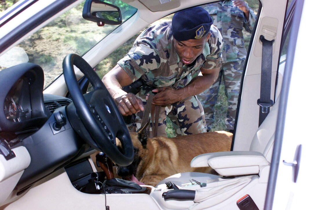 Staff Sergeant Broadnex, 89th Security Police Squadron, and a military working dog thoroughly search every vehicle entering Andrews Air Force Base, September 11, 2001.